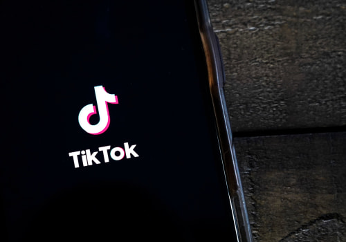 TikTok in Spain: How Has Its Use Changed Among Different Sexual Orientations?
